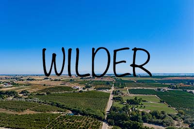 Wilder Idaho